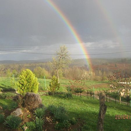 Lavanda Farm Apartmani Rakovica Dış mekan fotoğraf