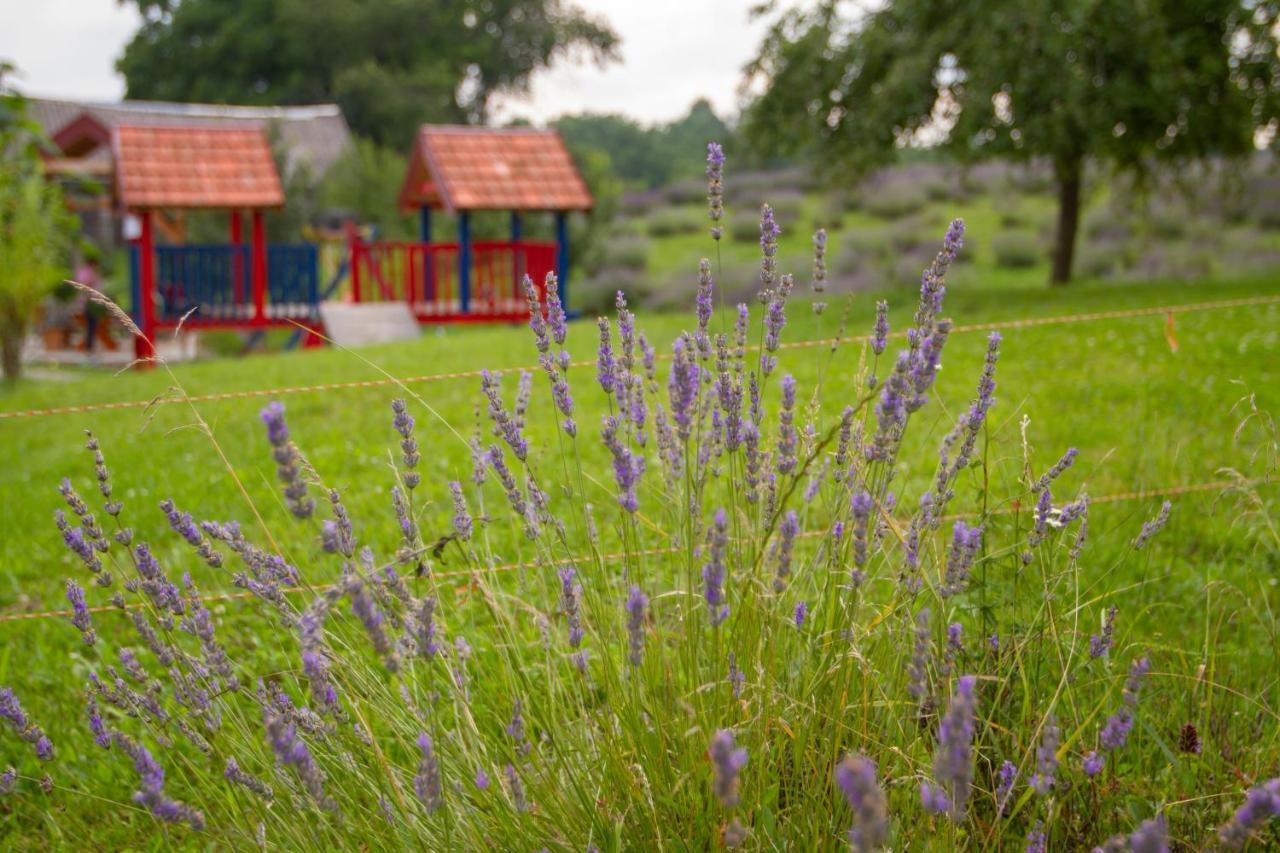 Lavanda Farm Apartmani Rakovica Dış mekan fotoğraf