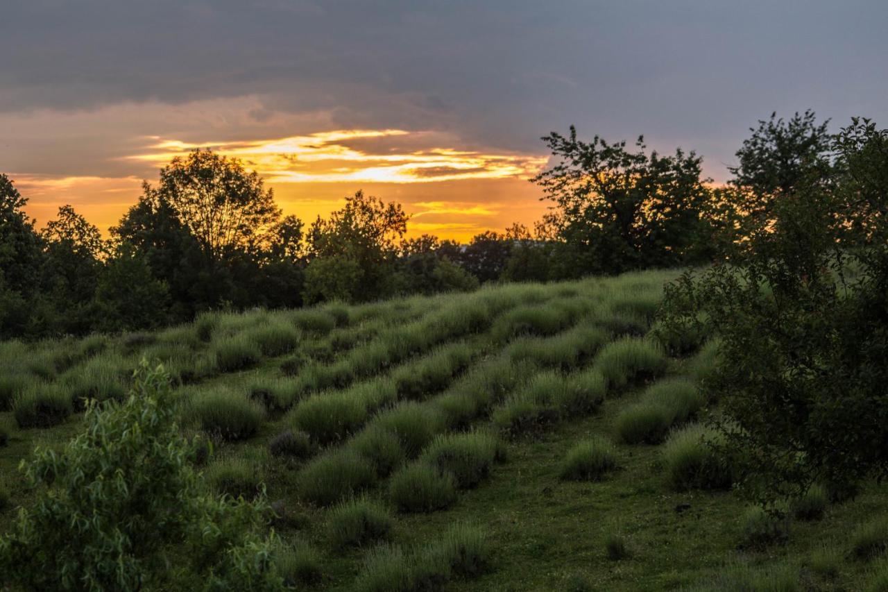 Lavanda Farm Apartmani Rakovica Dış mekan fotoğraf