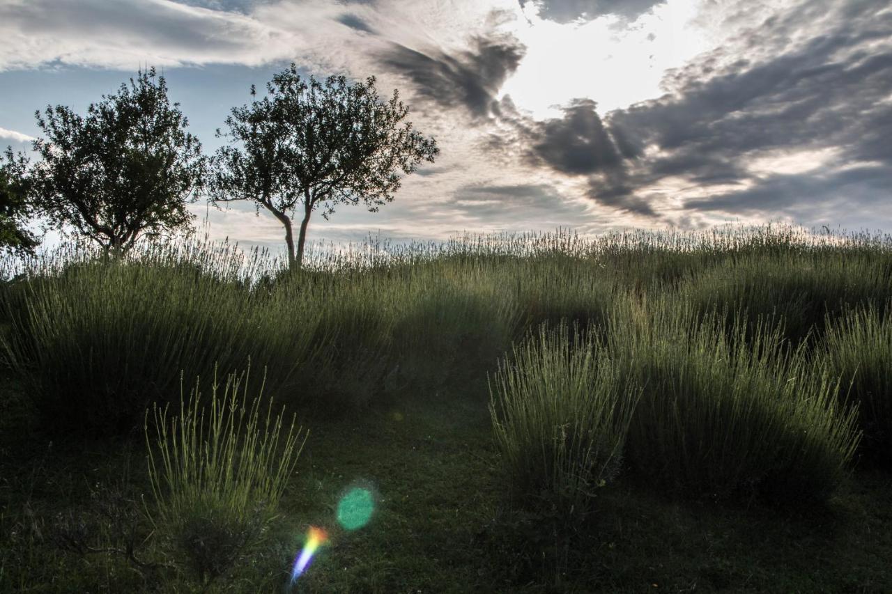 Lavanda Farm Apartmani Rakovica Dış mekan fotoğraf