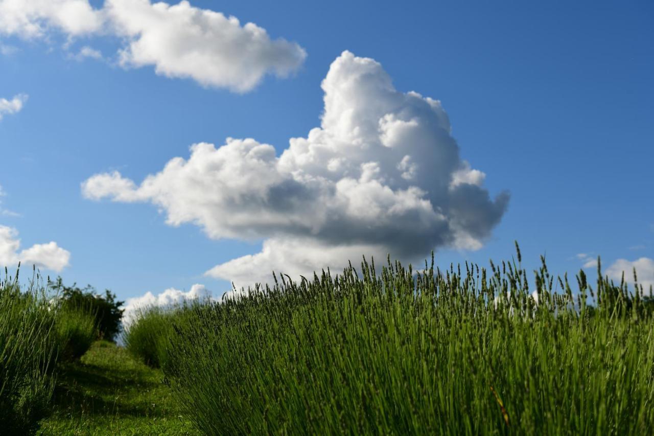 Lavanda Farm Apartmani Rakovica Dış mekan fotoğraf