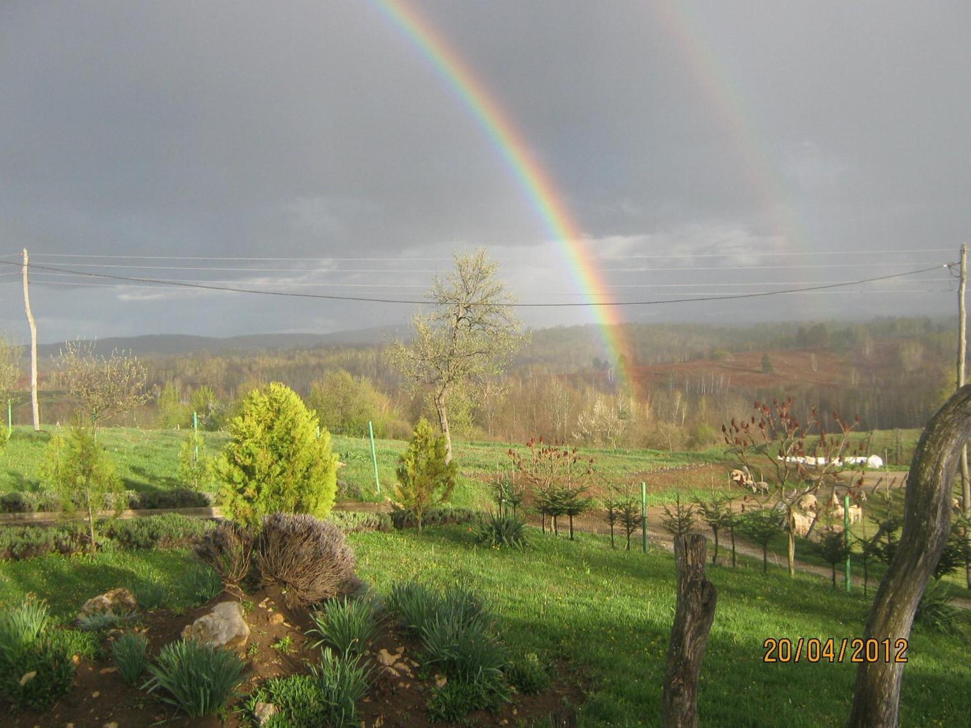 Lavanda Farm Apartmani Rakovica Dış mekan fotoğraf