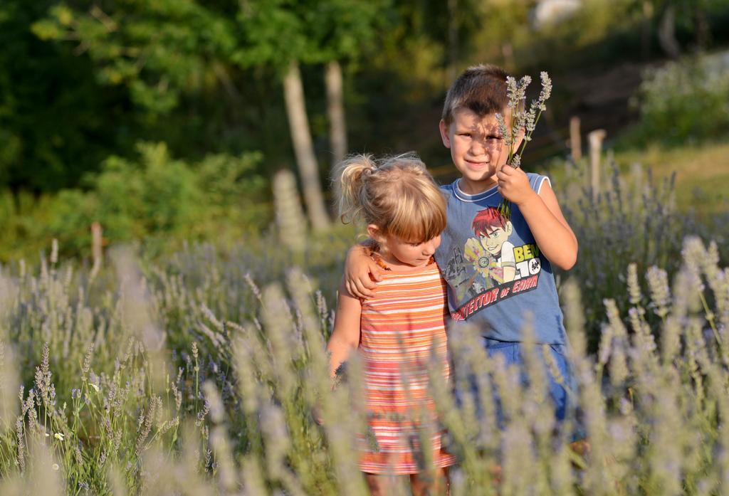 Lavanda Farm Apartmani Rakovica Dış mekan fotoğraf