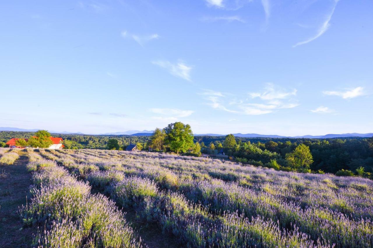 Lavanda Farm Apartmani Rakovica Dış mekan fotoğraf