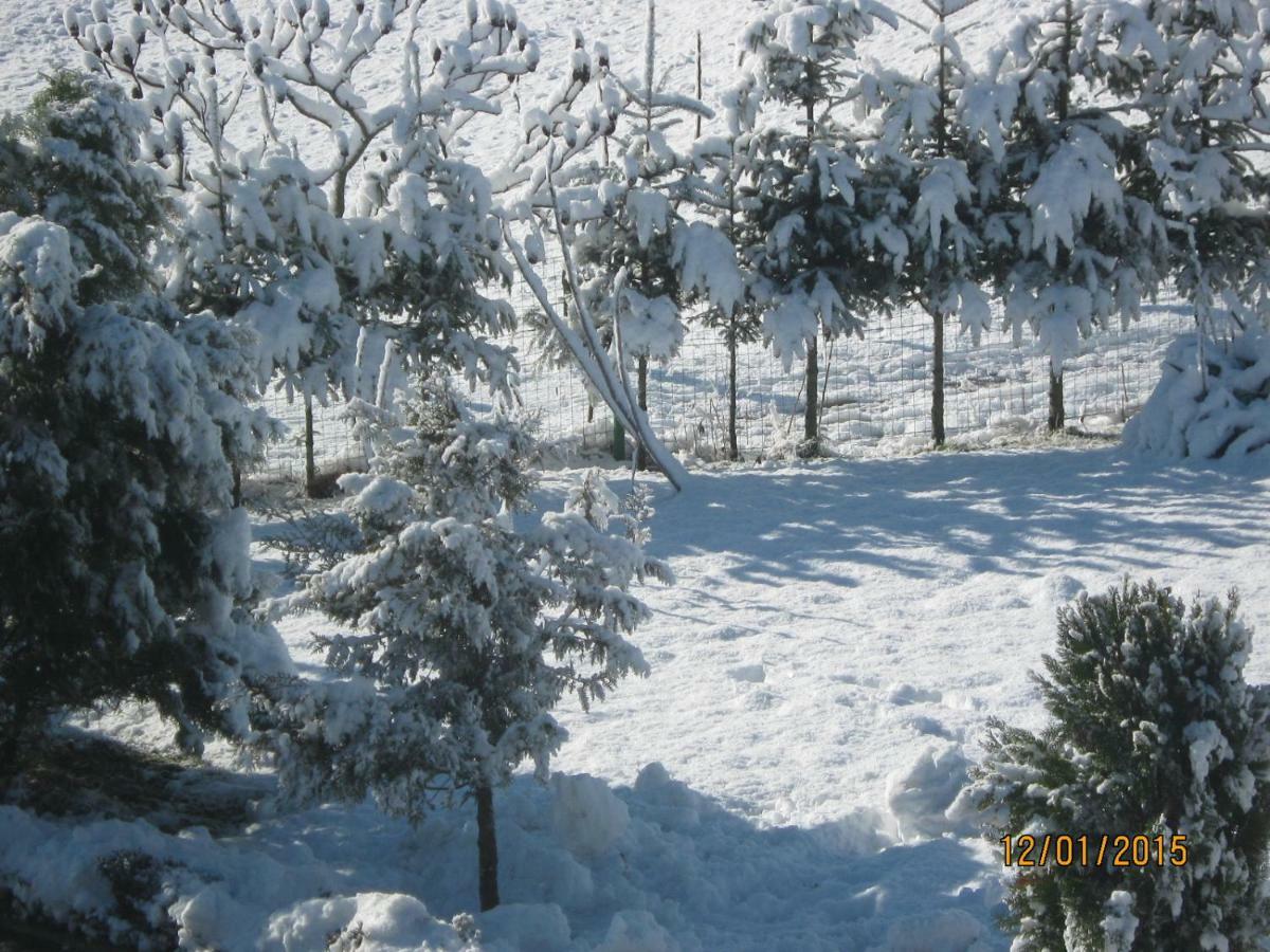 Lavanda Farm Apartmani Rakovica Dış mekan fotoğraf