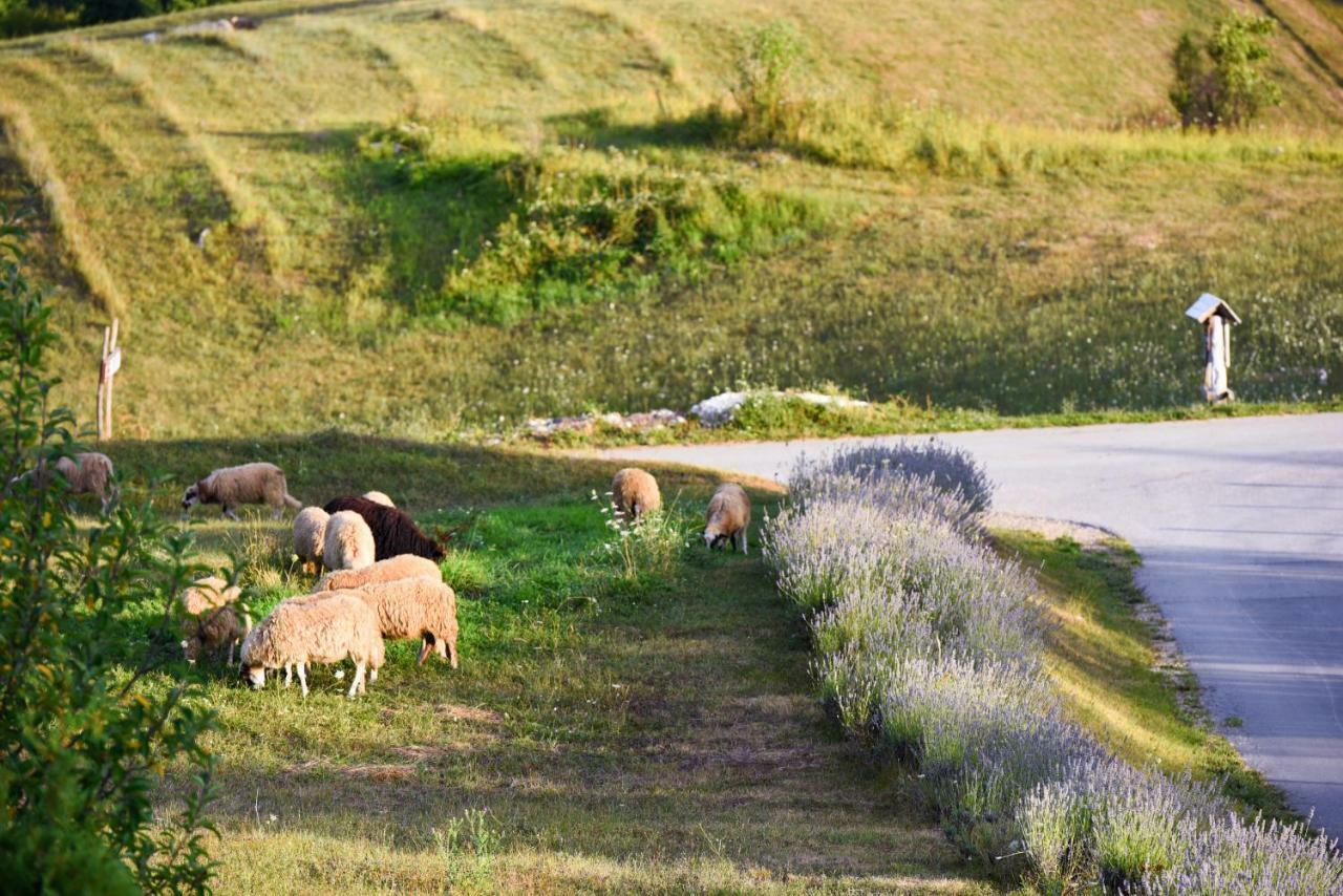 Lavanda Farm Apartmani Rakovica Dış mekan fotoğraf