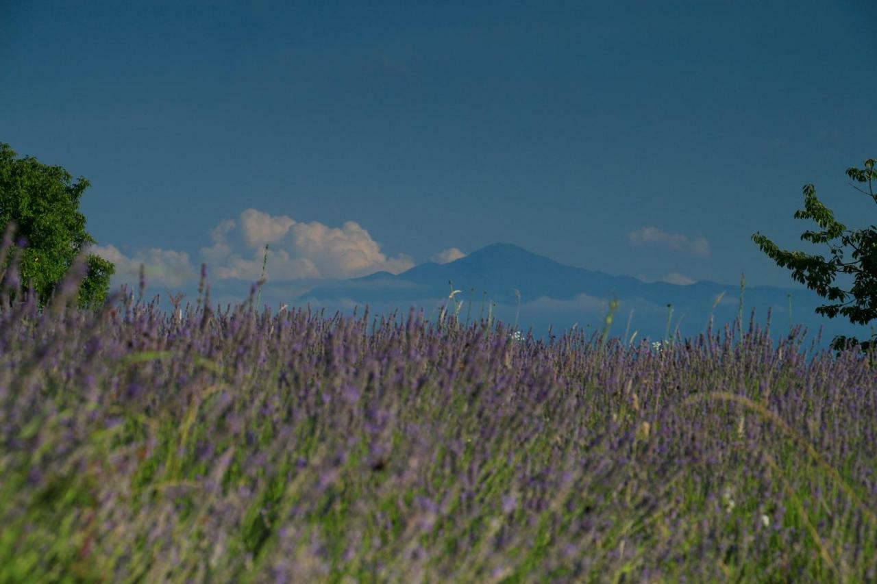 Lavanda Farm Apartmani Rakovica Dış mekan fotoğraf