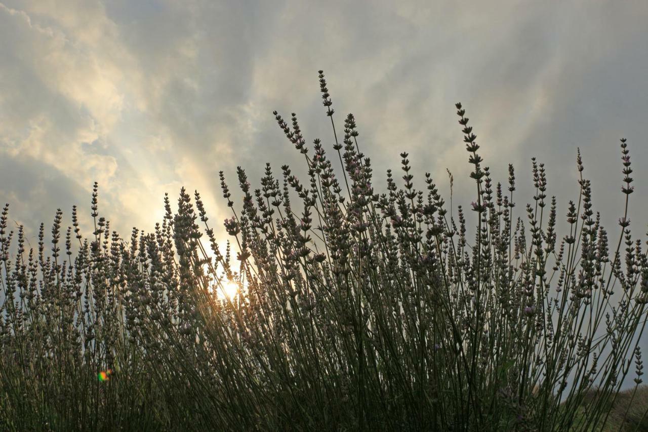 Lavanda Farm Apartmani Rakovica Dış mekan fotoğraf