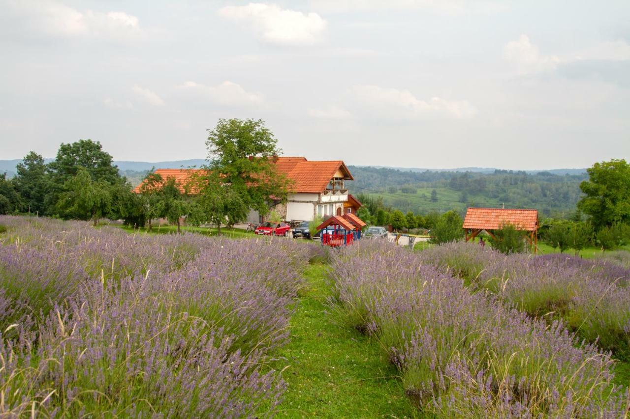 Lavanda Farm Apartmani Rakovica Dış mekan fotoğraf