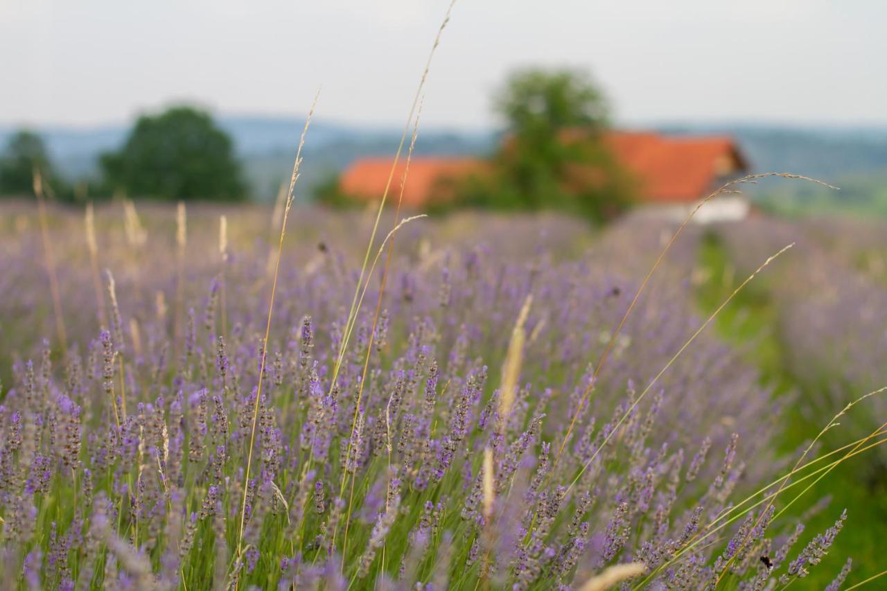 Lavanda Farm Apartmani Rakovica Dış mekan fotoğraf